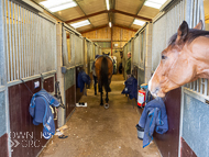 AK181121-105 - Alan King Visit